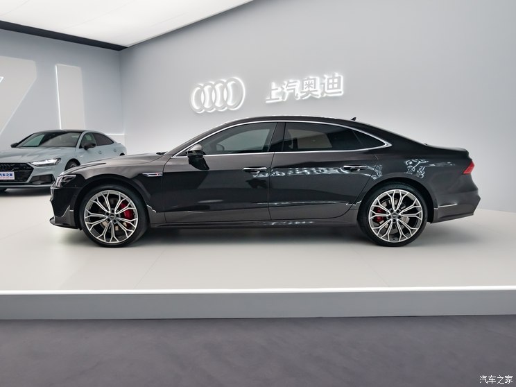 上汽奥迪 奥迪a7l 2024款 55 tfsi quattro 黑武士版